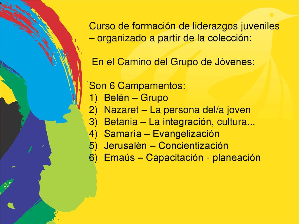 Curso de formación de liderazgos juveniles – organizado a partir de la colección: