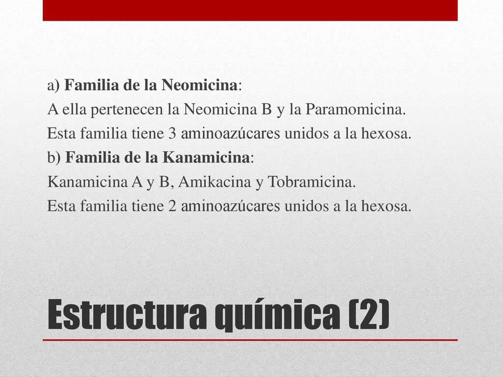 a) Familia de la Neomicina: A ella pertenecen la Neomicina B y la Paramomicina. Esta familia tiene 3 aminoazúcares unidos a la hexosa. b) Familia de la Kanamicina: Kanamicina A y B, Amikacina y Tobramicina. Esta familia tiene 2 aminoazúcares unidos a la hexosa.