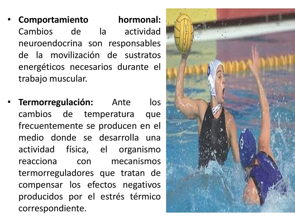Comportamiento hormonal: Cambios de la actividad neuroendocrina son responsables de la movilización de sustratos energéticos necesarios durante el trabajo muscular.