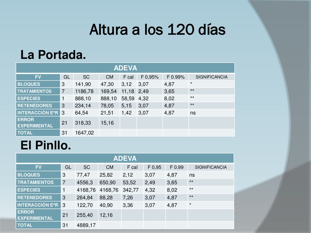 Altura a los 120 días La Portada. El Pinllo. ADEVA ADEVA 3 141,90