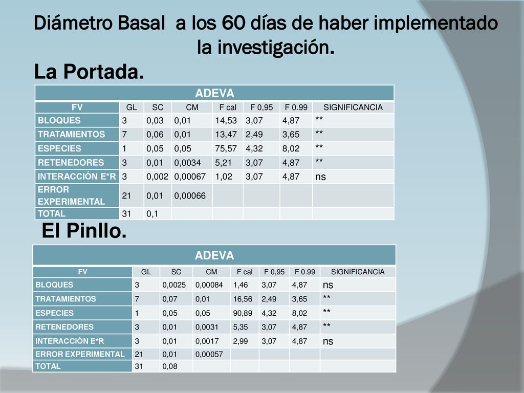 Diámetro Basal a los 60 días de haber implementado la investigación.