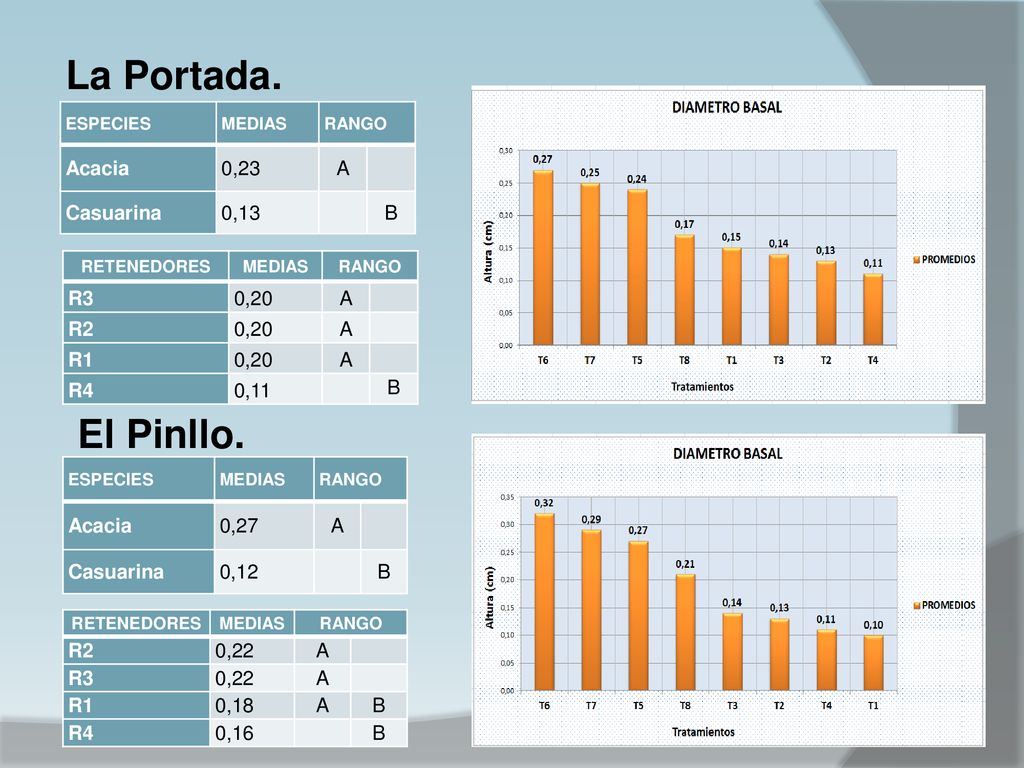 La Portada. El Pinllo. Acacia 0,23 A Casuarina 0,13 B R3 0,20 A R2 R1