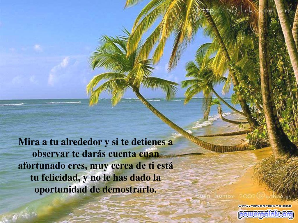 Mira a tu alrededor y si te detienes a observar te darás cuenta cuan afortunado eres, muy cerca de ti está tu felicidad, y no le has dado la oportunidad de demostrarlo.