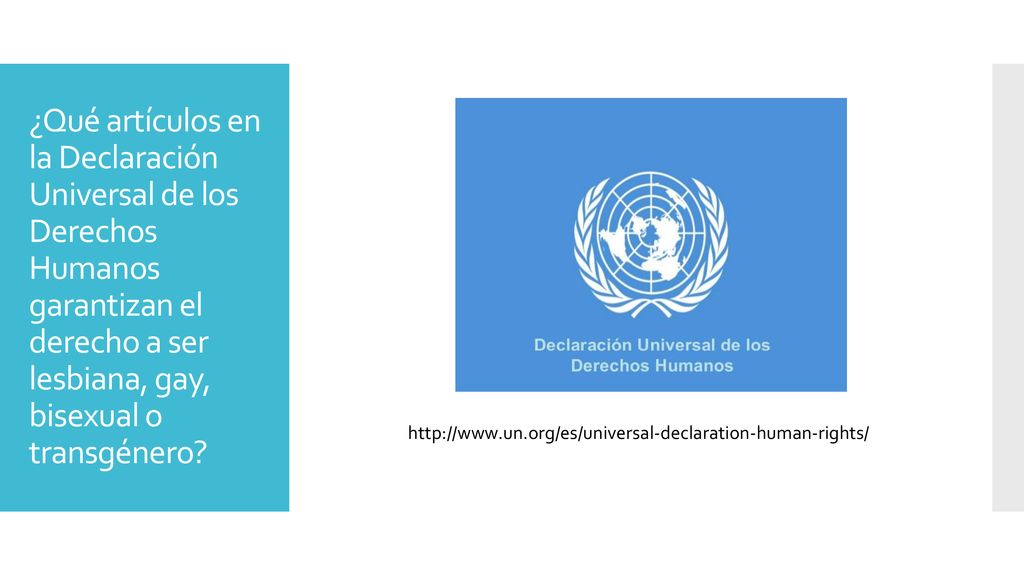 ¿Qué artículos en la Declaración Universal de los Derechos Humanos garantizan el derecho a ser lesbiana, gay, bisexual o transgénero