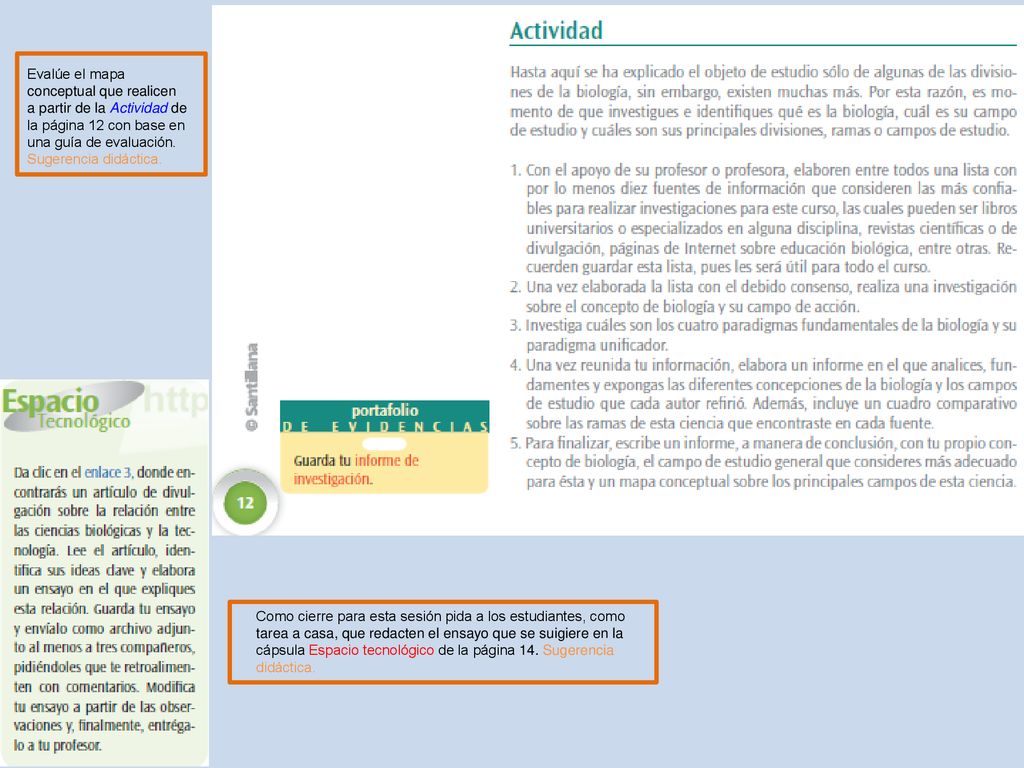 Evalúe el mapa conceptual que realicen a partir de la Actividad de la página 12 con base en una guía de evaluación. Sugerencia didáctica.