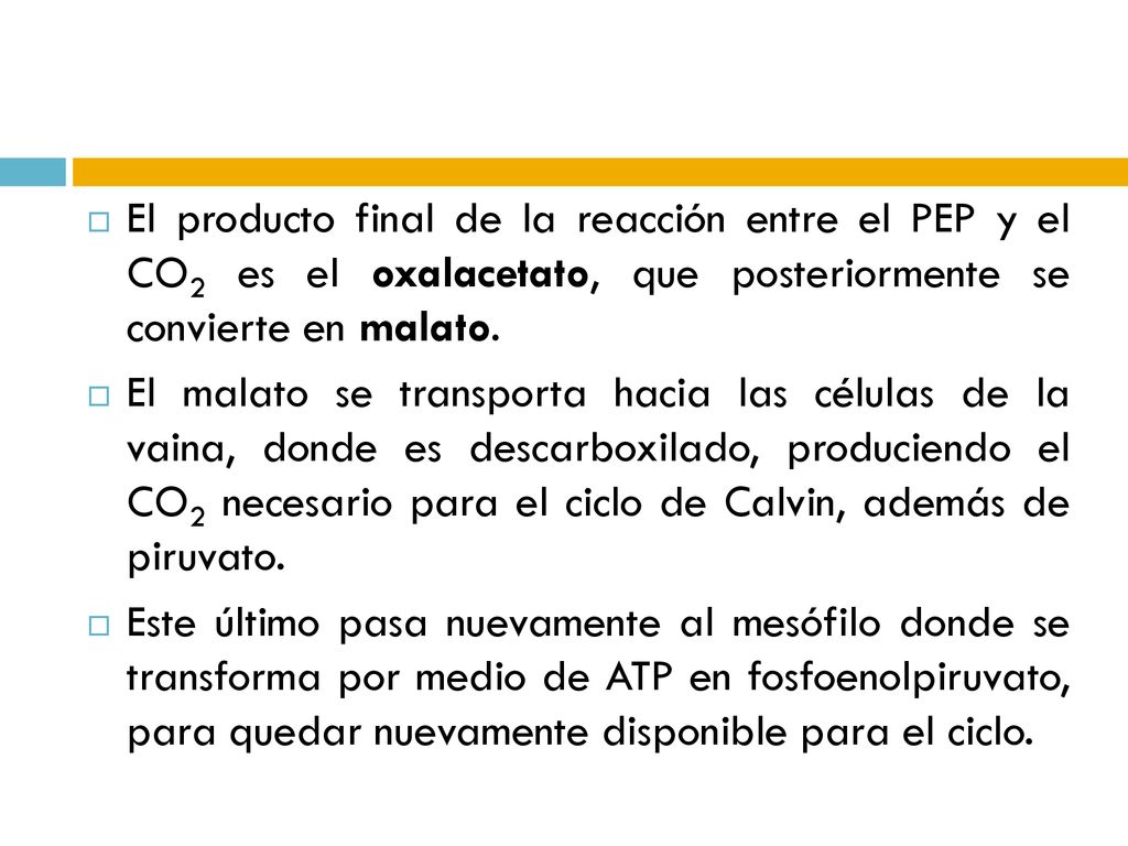 El producto final de la reacción entre el PEP y el CO2 es el oxalacetato, que posteriormente se convierte en malato.