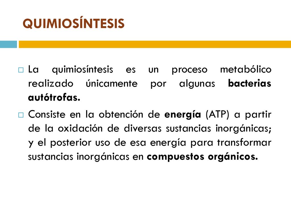QUIMIOSÍNTESIS La quimiosíntesis es un proceso metabólico realizado únicamente por algunas bacterias autótrofas.