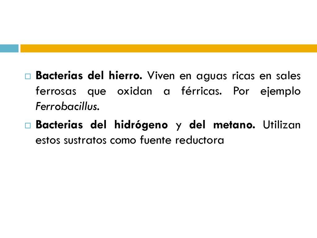 Bacterias del hierro. Viven en aguas ricas en sales ferrosas que oxidan a férricas. Por ejemplo Ferrobacillus.