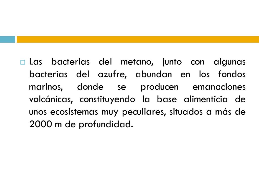 Las bacterias del metano, junto con algunas bacterias del azufre, abundan en los fondos marinos, donde se producen emanaciones volcánicas, constituyendo la base alimenticia de unos ecosistemas muy peculiares, situados a más de 2000 m de profundidad.