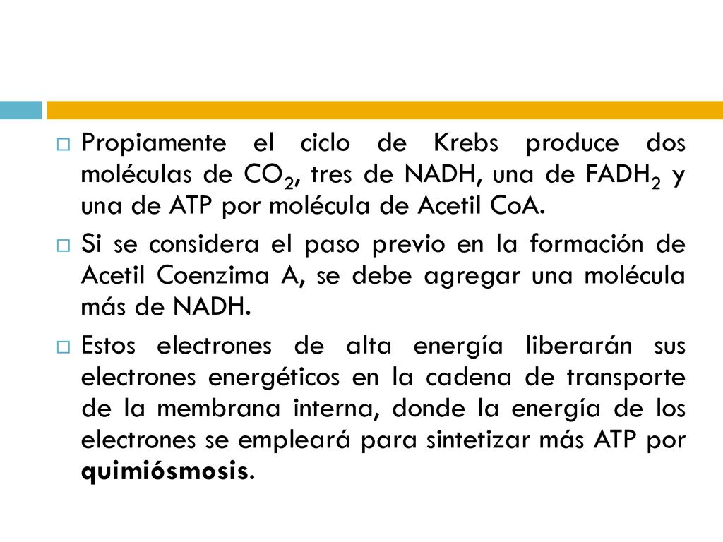 Propiamente el ciclo de Krebs produce dos moléculas de CO2, tres de NADH, una de FADH2 y una de ATP por molécula de Acetil CoA.