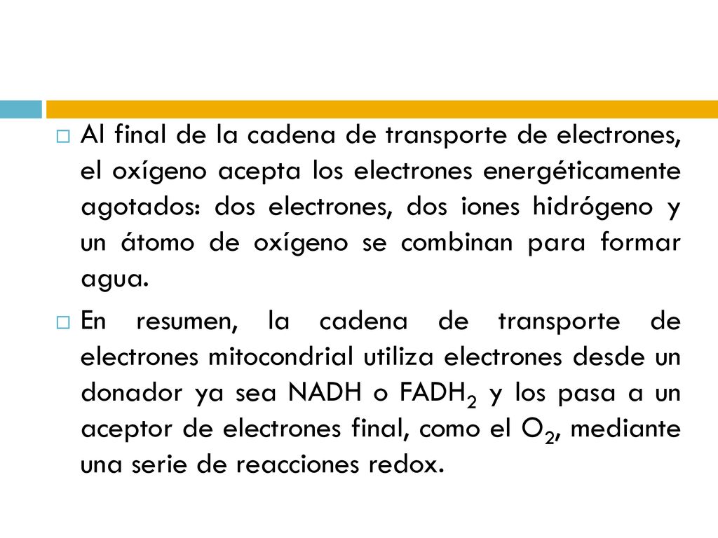Al final de la cadena de transporte de electrones, el oxígeno acepta los electrones energéticamente agotados: dos electrones, dos iones hidrógeno y un átomo de oxígeno se combinan para formar agua.
