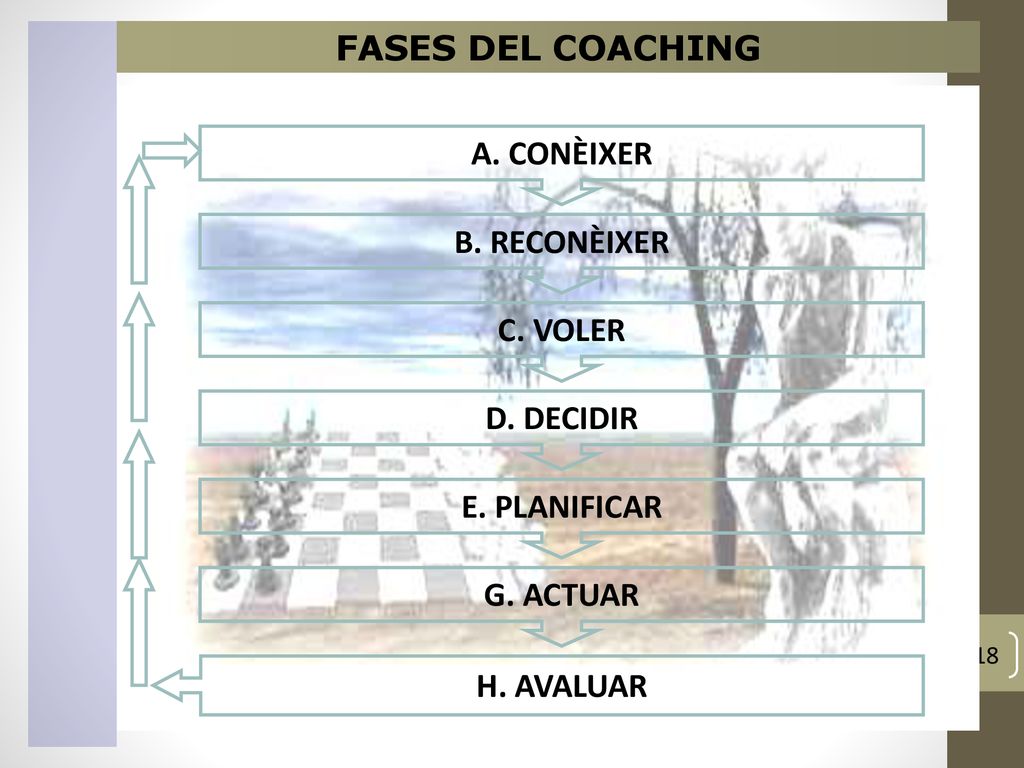 FASES DEL COACHING A. CONÈIXER B. RECONÈIXER C. VOLER D. DECIDIR E. PLANIFICAR G. ACTUAR H. AVALUAR