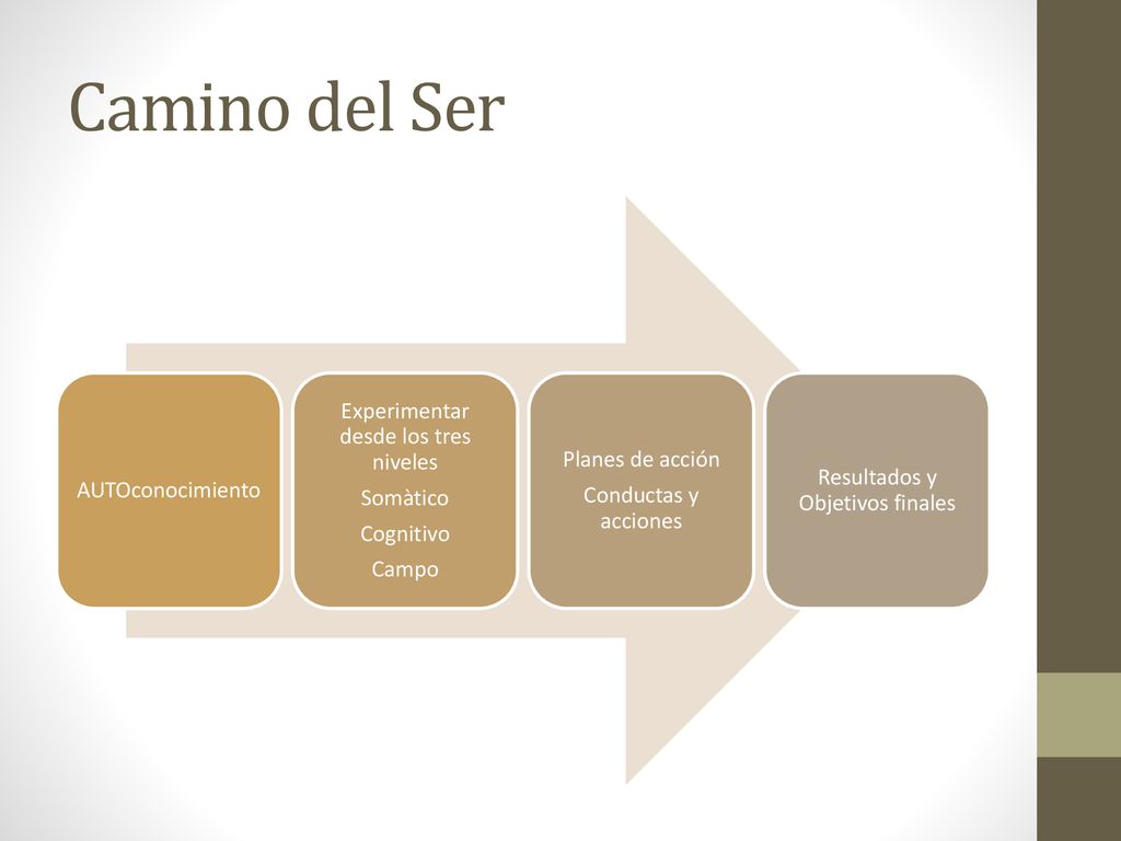 Camino del Ser Experimentar desde los tres niveles Planes de acción