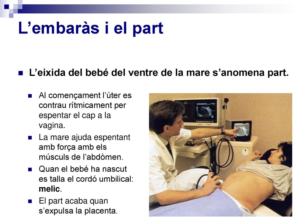 L’embaràs i el part L’eixida del bebé del ventre de la mare s’anomena part.