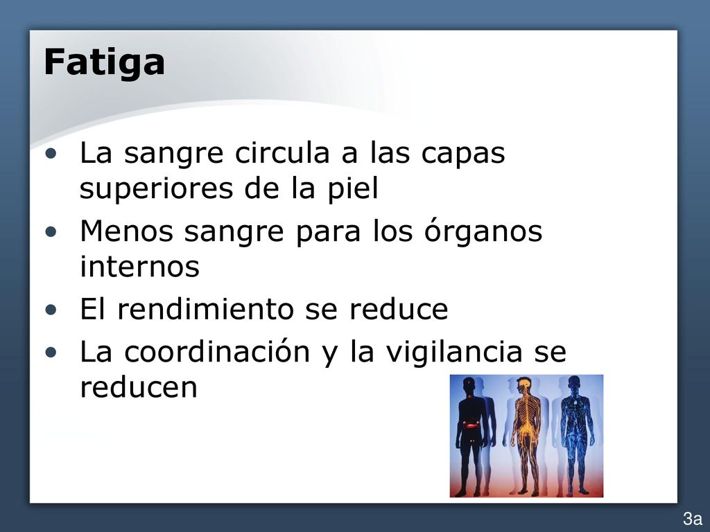 Fatiga La sangre circula a las capas superiores de la piel