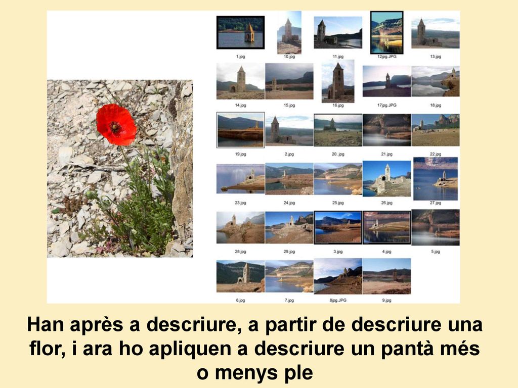 Han après a descriure, a partir de descriure una flor, i ara ho apliquen a descriure un pantà més o menys ple