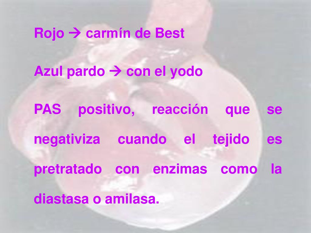 Rojo  carmín de Best Azul pardo  con el yodo.
