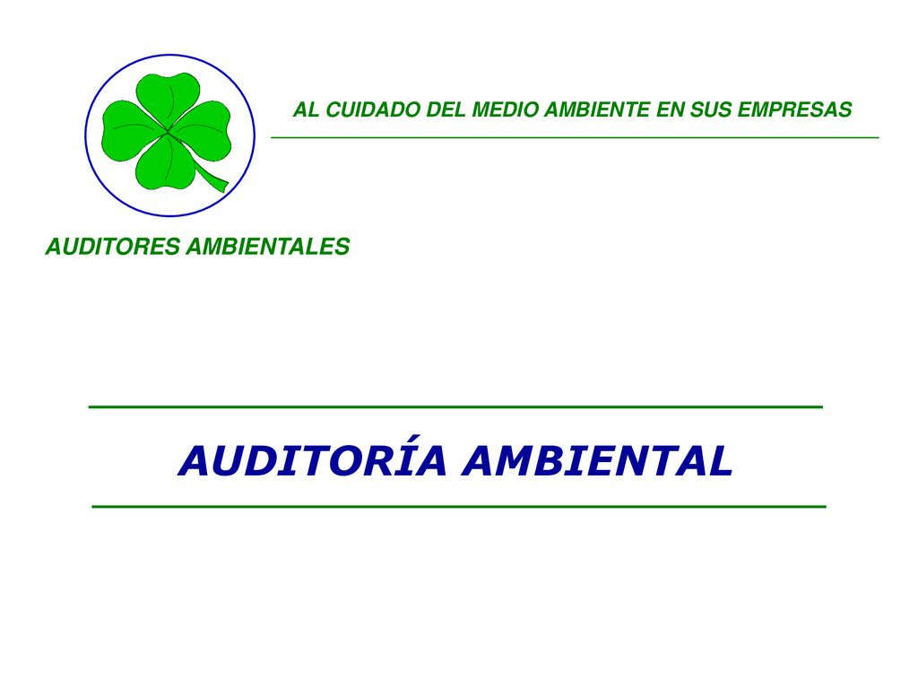 AL CUIDADO DEL MEDIO AMBIENTE EN SUS EMPRESAS AUDITORES AMBIENTALES