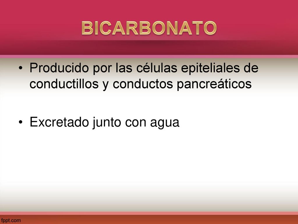 BICARBONATO Producido por las células epiteliales de conductillos y conductos pancreáticos.