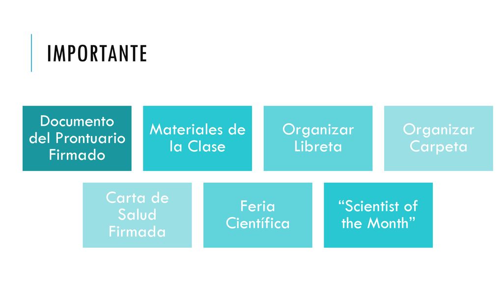 Importante Documento del Prontuario Firmado Materiales de la Clase