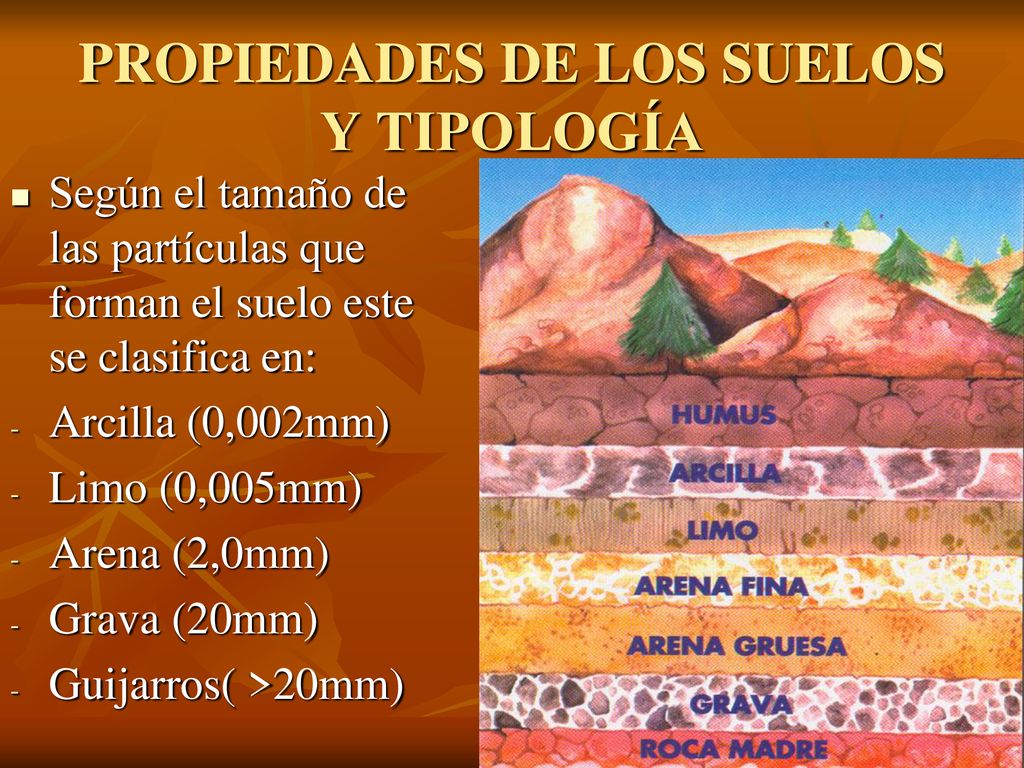 PROPIEDADES DE LOS SUELOS Y TIPOLOGÍA