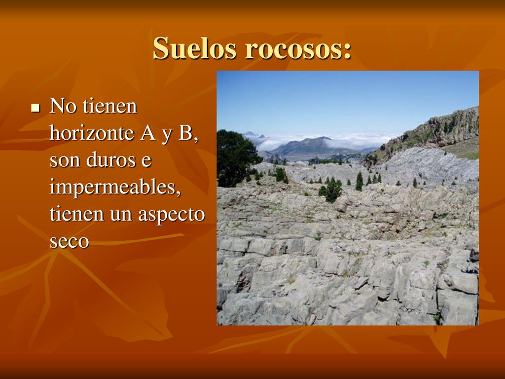 Suelos rocosos: No tienen horizonte A y B, son duros e impermeables, tienen un aspecto seco