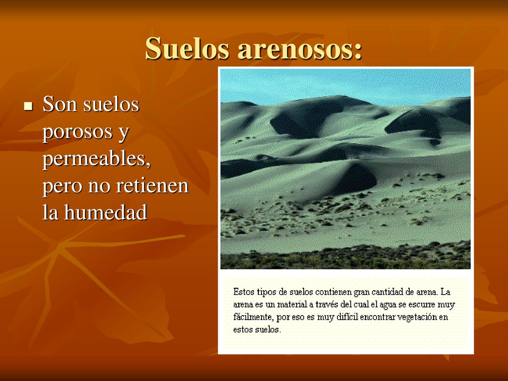 Suelos arenosos: Son suelos porosos y permeables, pero no retienen la humedad