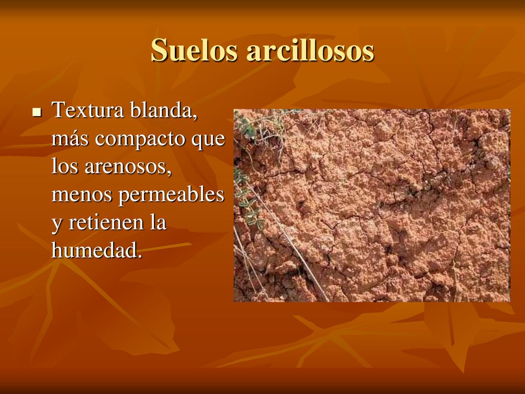 Suelos arcillosos Textura blanda, más compacto que los arenosos, menos permeables y retienen la humedad.