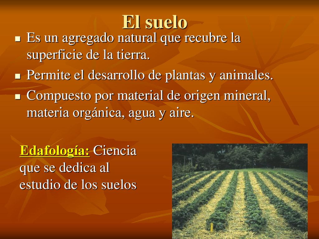 El suelo Es un agregado natural que recubre la superficie de la tierra. Permite el desarrollo de plantas y animales.