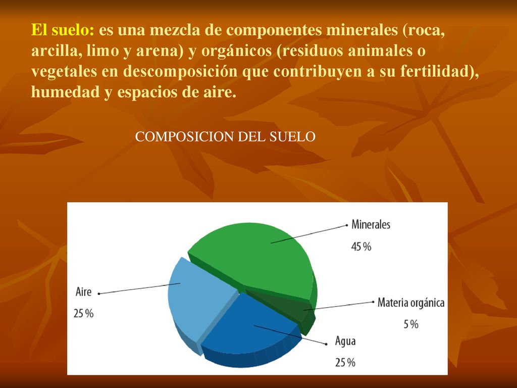El suelo: es una mezcla de componentes minerales (roca, arcilla, limo y arena) y orgánicos (residuos animales o vegetales en descomposición que contribuyen a su fertilidad), humedad y espacios de aire.