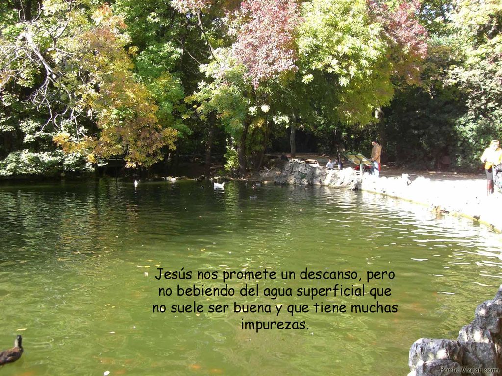 Jesús nos promete un descanso, pero no bebiendo del agua superficial que no suele ser buena y que tiene muchas impurezas.