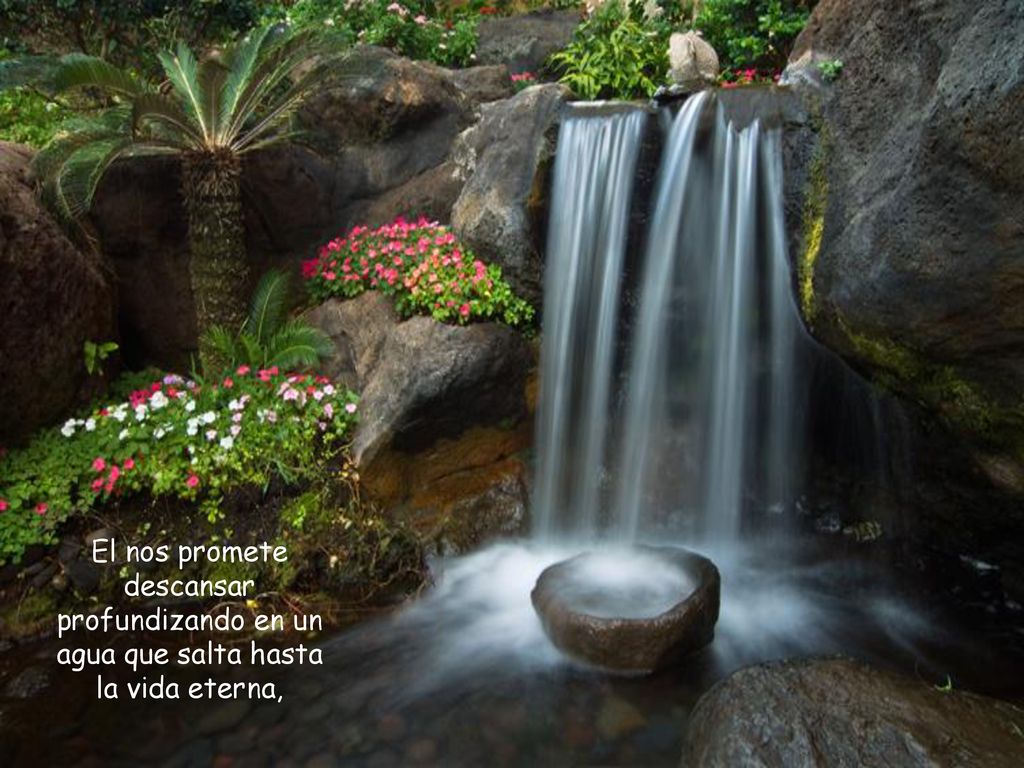 El nos promete descansar profundizando en un agua que salta hasta la vida eterna,