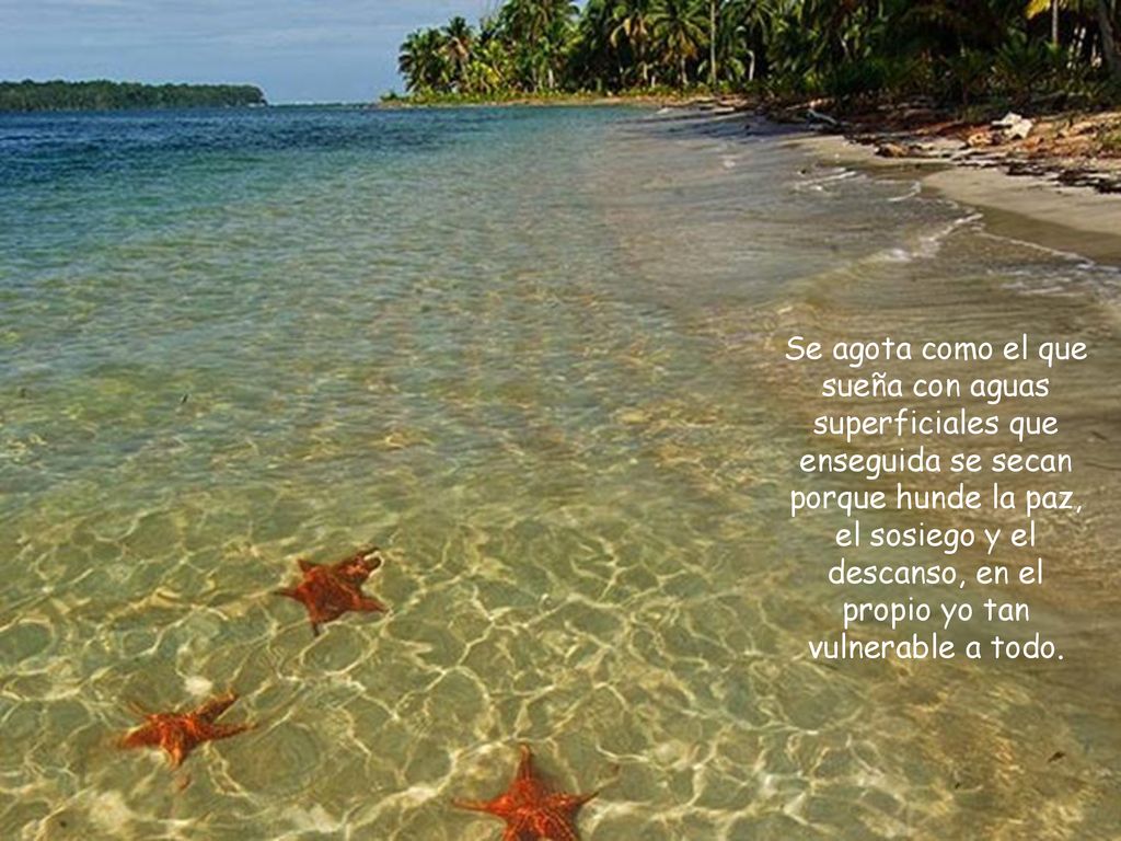 Se agota como el que sueña con aguas superficiales que enseguida se secan porque hunde la paz, el sosiego y el descanso, en el propio yo tan vulnerable a todo.