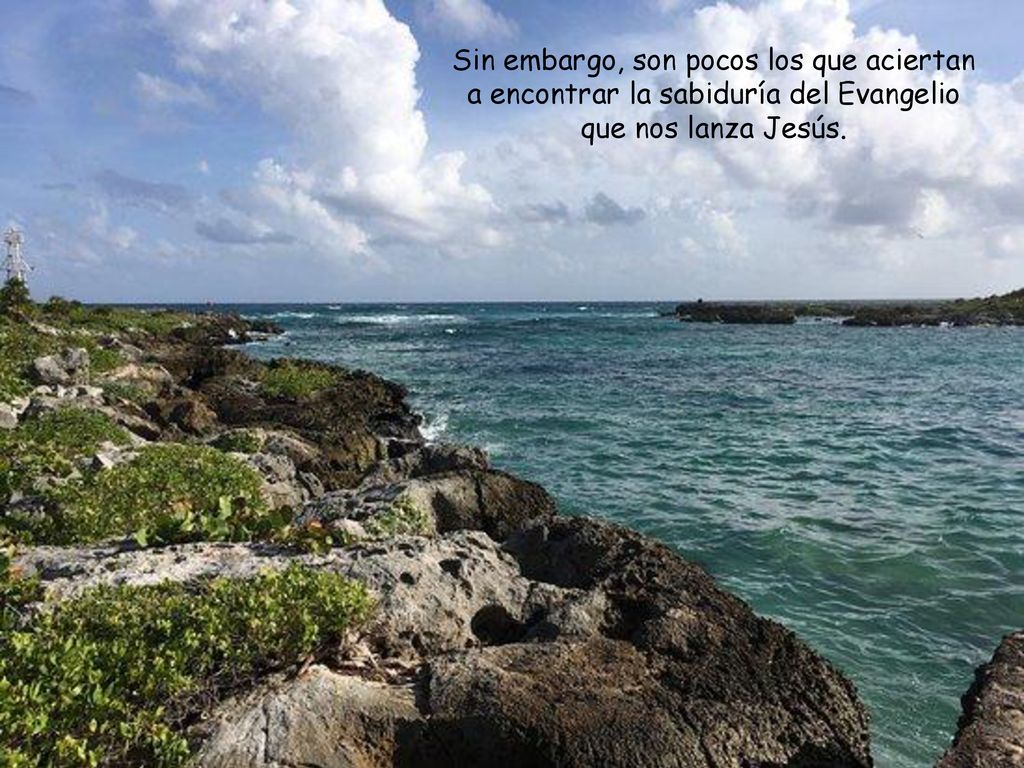 Sin embargo, son pocos los que aciertan a encontrar la sabiduría del Evangelio que nos lanza Jesús.