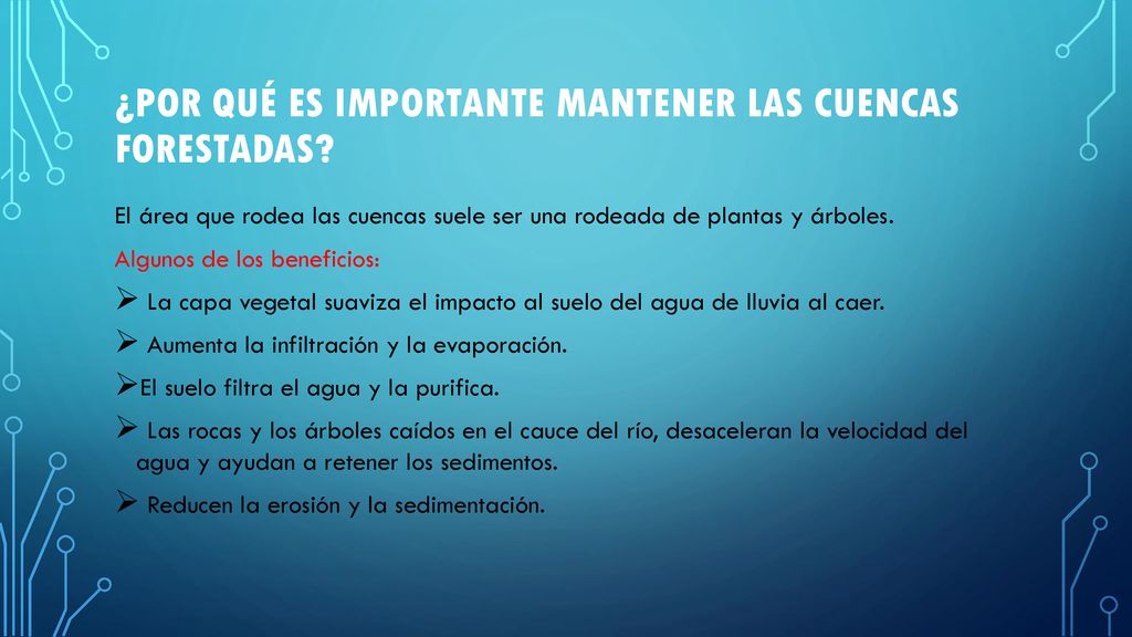¿Por qué es importante mantener las cuencas forestadas