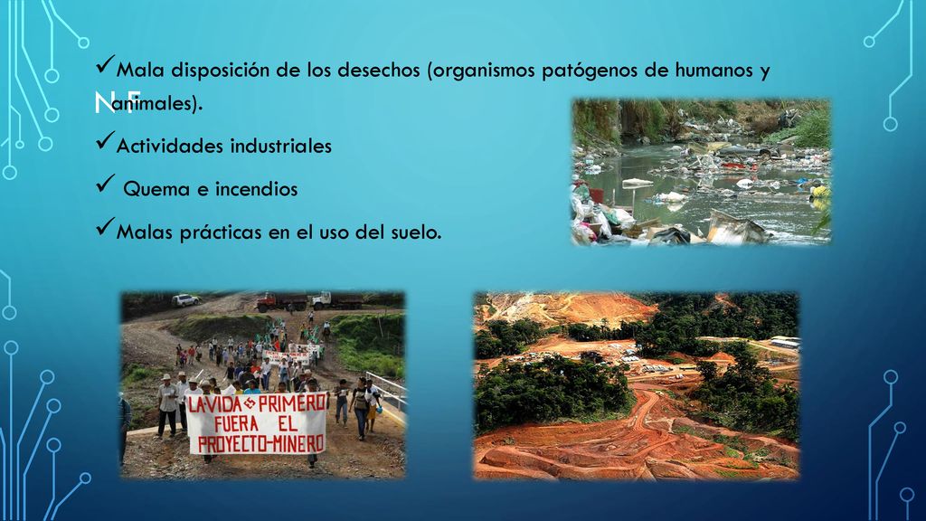 Mala disposición de los desechos (organismos patógenos de humanos y animales).