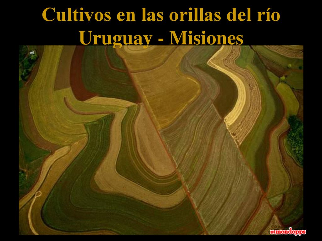 Cultivos en las orillas del río Uruguay - Misiones