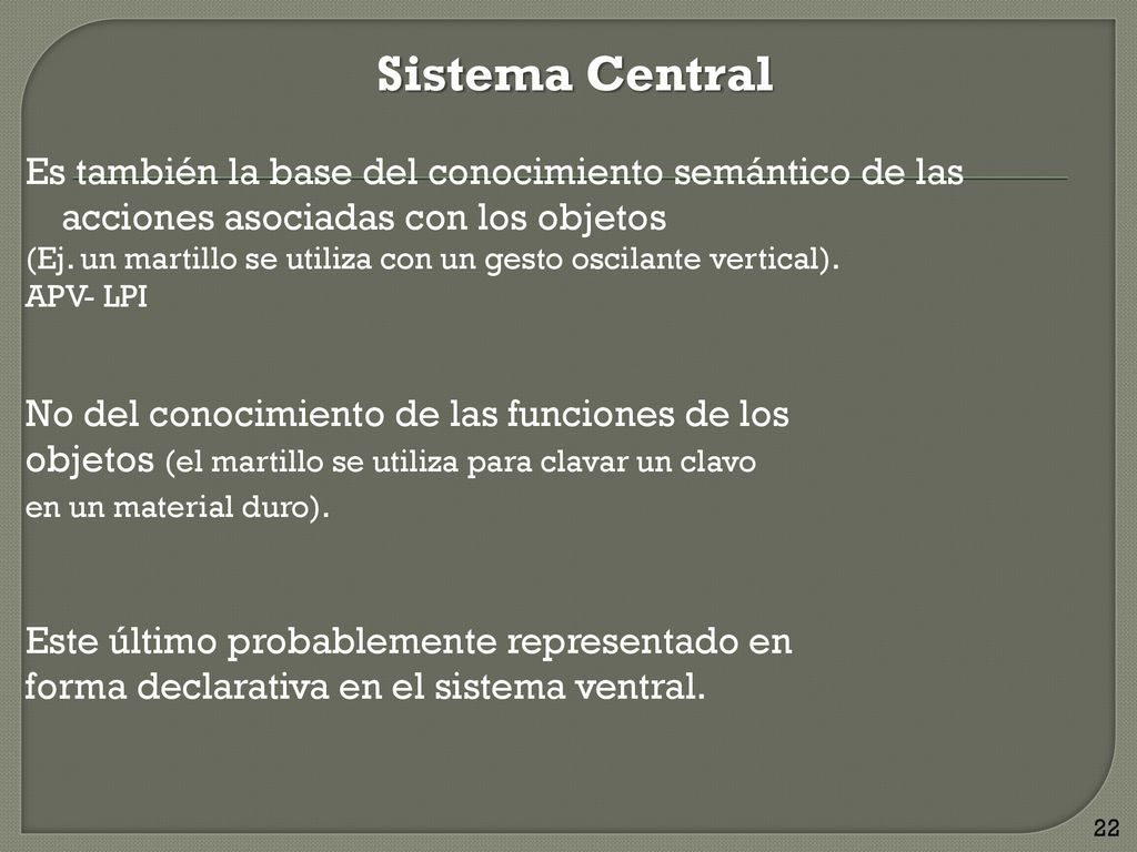 Sistema Central Es también la base del conocimiento semántico de las acciones asociadas con los objetos.