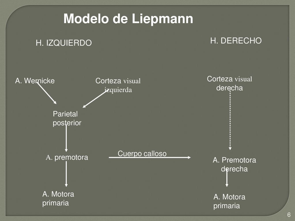 Modelo de Liepmann H. DERECHO H. IZQUIERDO A. Wernicke Corteza visual