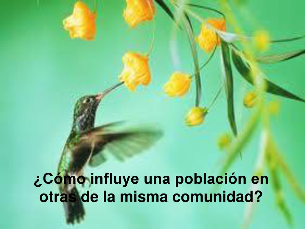 ¿Cómo influye una población en otras de la misma comunidad