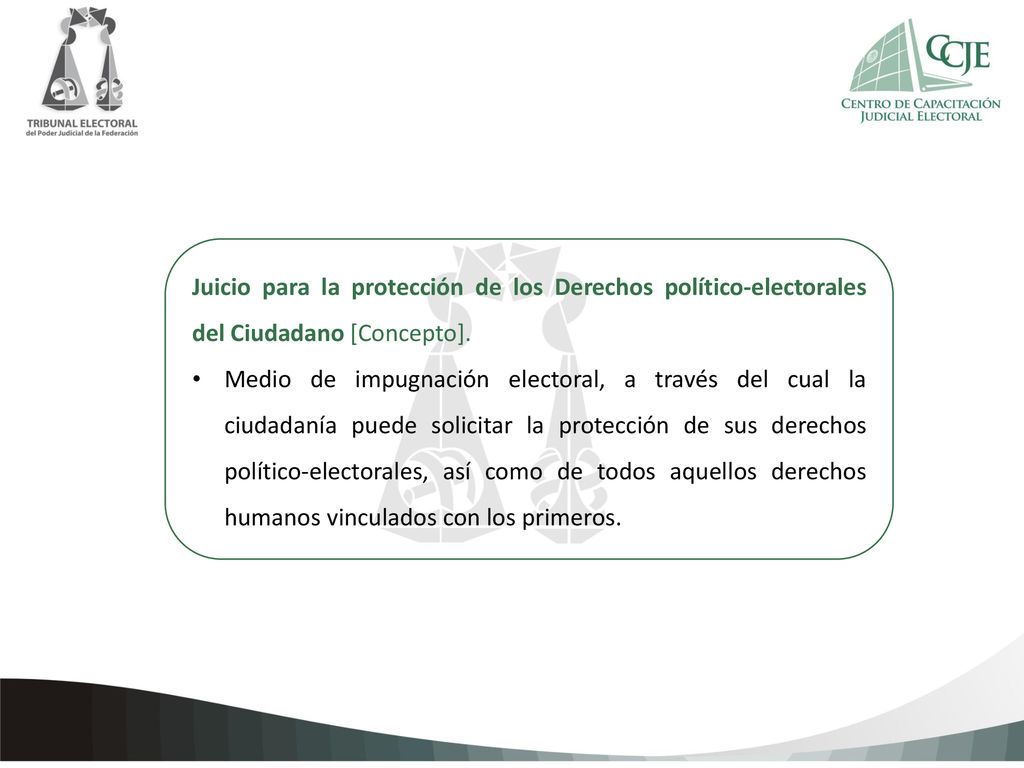 Juicio para la protección de los Derechos político-electorales del Ciudadano [Concepto].