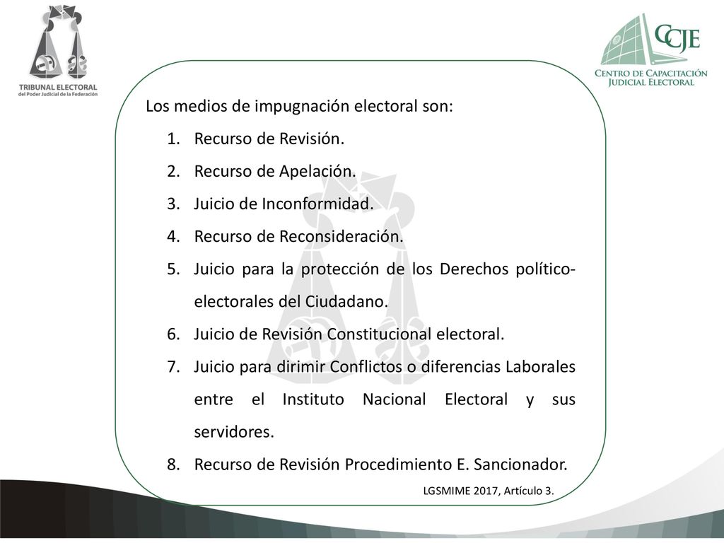 Los medios de impugnación electoral son: Recurso de Revisión.
