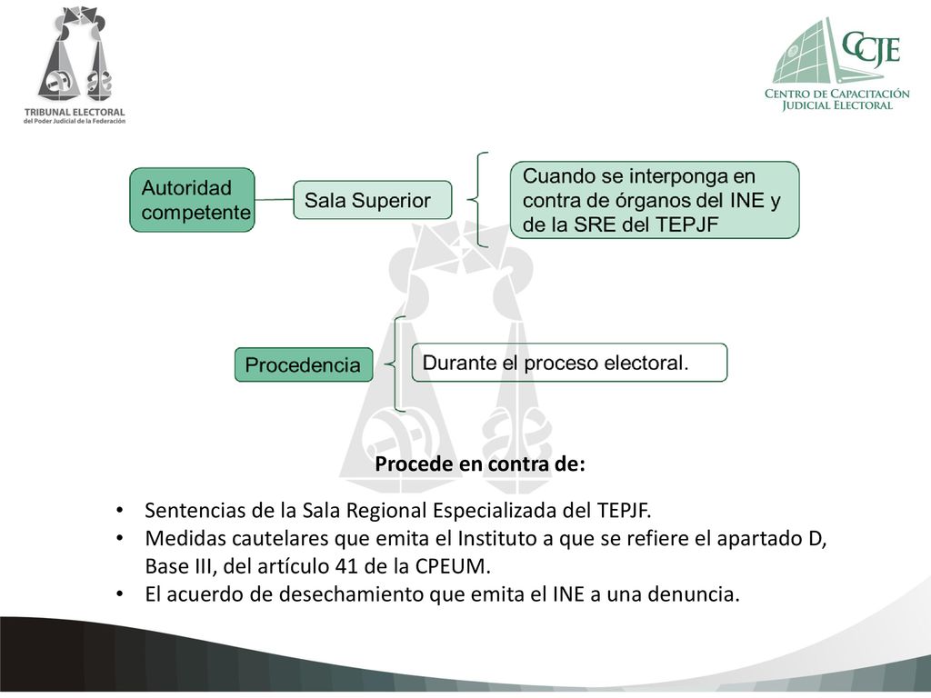 Procede en contra de: Sentencias de la Sala Regional Especializada del TEPJF.