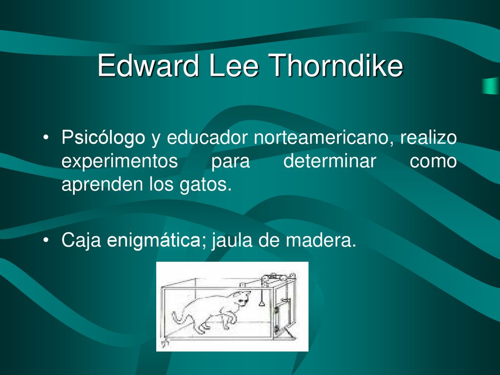 Edward Lee Thorndike Psicólogo y educador norteamericano, realizo experimentos para determinar como aprenden los gatos.