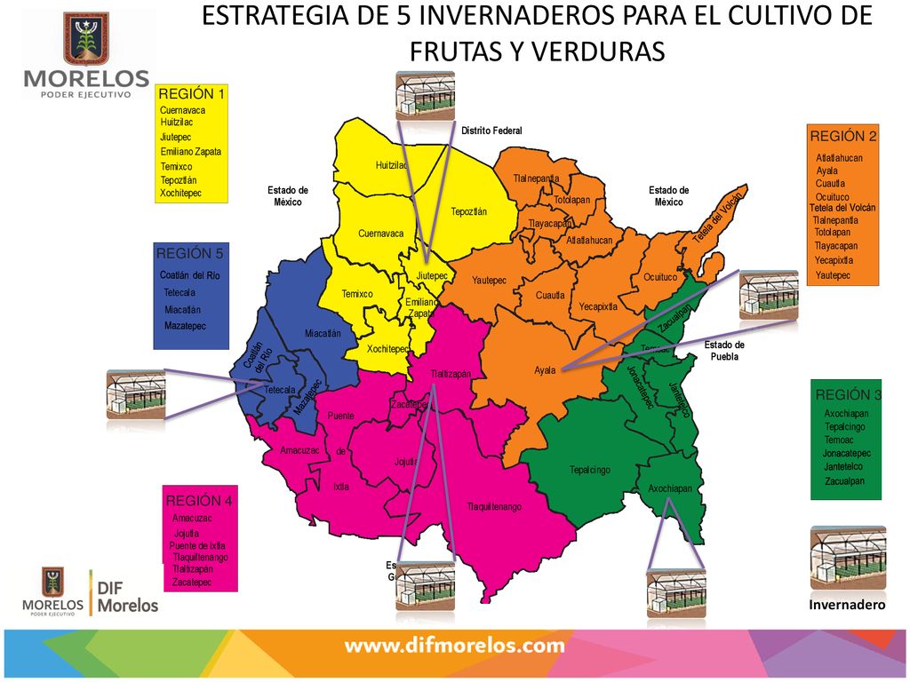 ESTRATEGIA DE 5 INVERNADEROS PARA EL CULTIVO DE FRUTAS Y VERDURAS