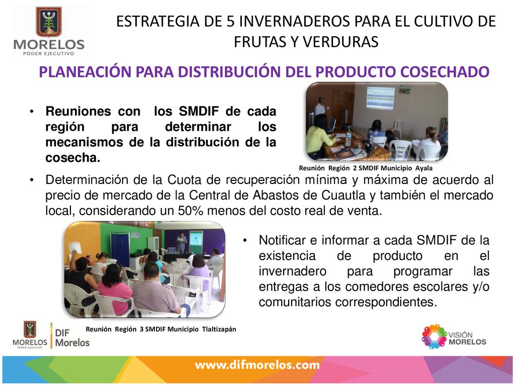 ESTRATEGIA DE 5 INVERNADEROS PARA EL CULTIVO DE FRUTAS Y VERDURAS