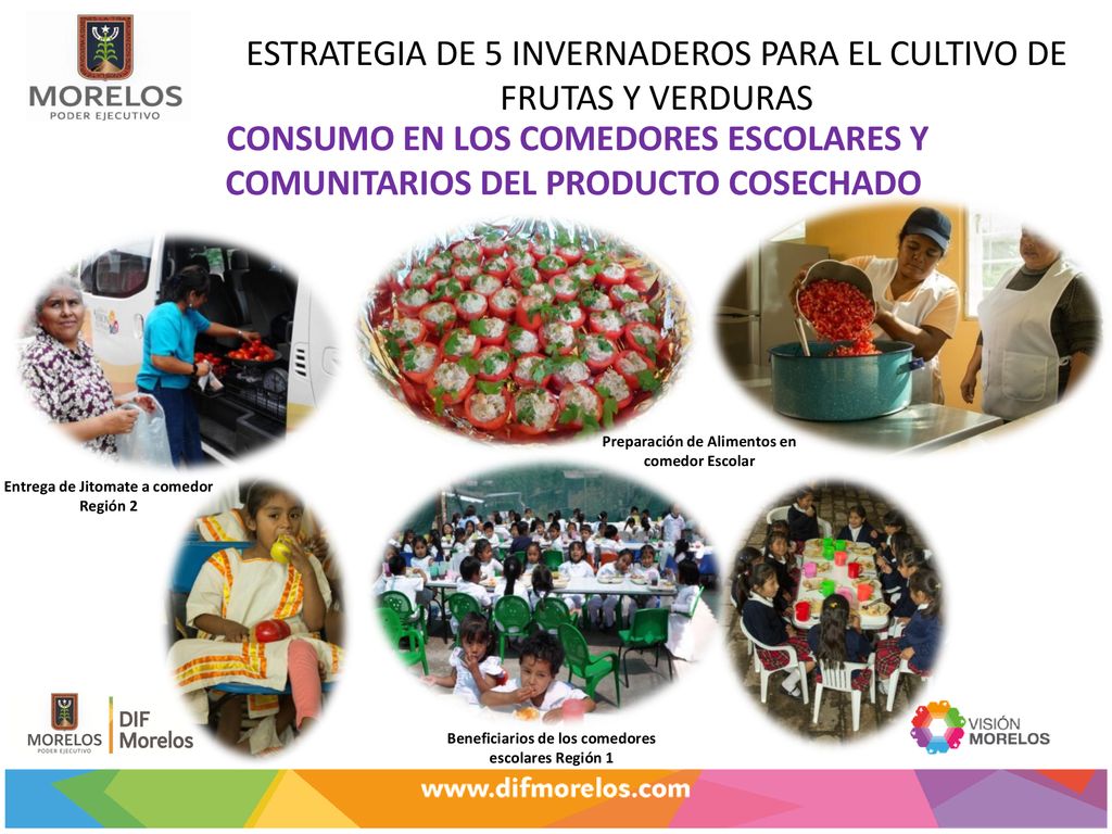 ESTRATEGIA DE 5 INVERNADEROS PARA EL CULTIVO DE FRUTAS Y VERDURAS