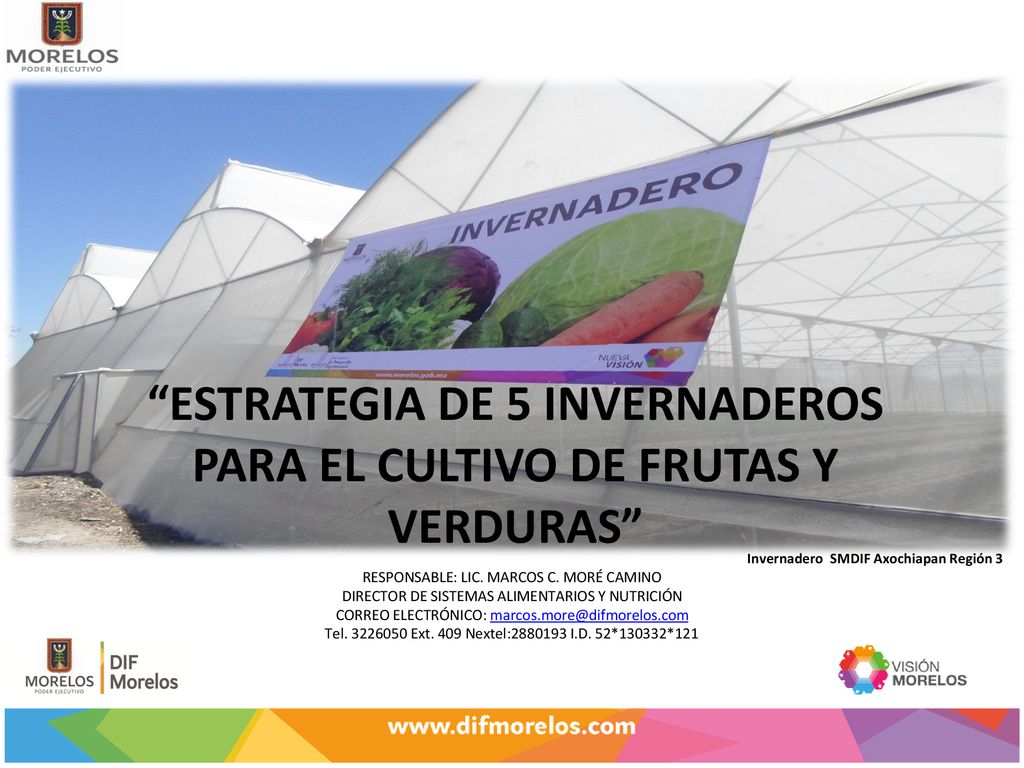 ESTRATEGIA DE 5 INVERNADEROS PARA EL CULTIVO DE FRUTAS Y VERDURAS