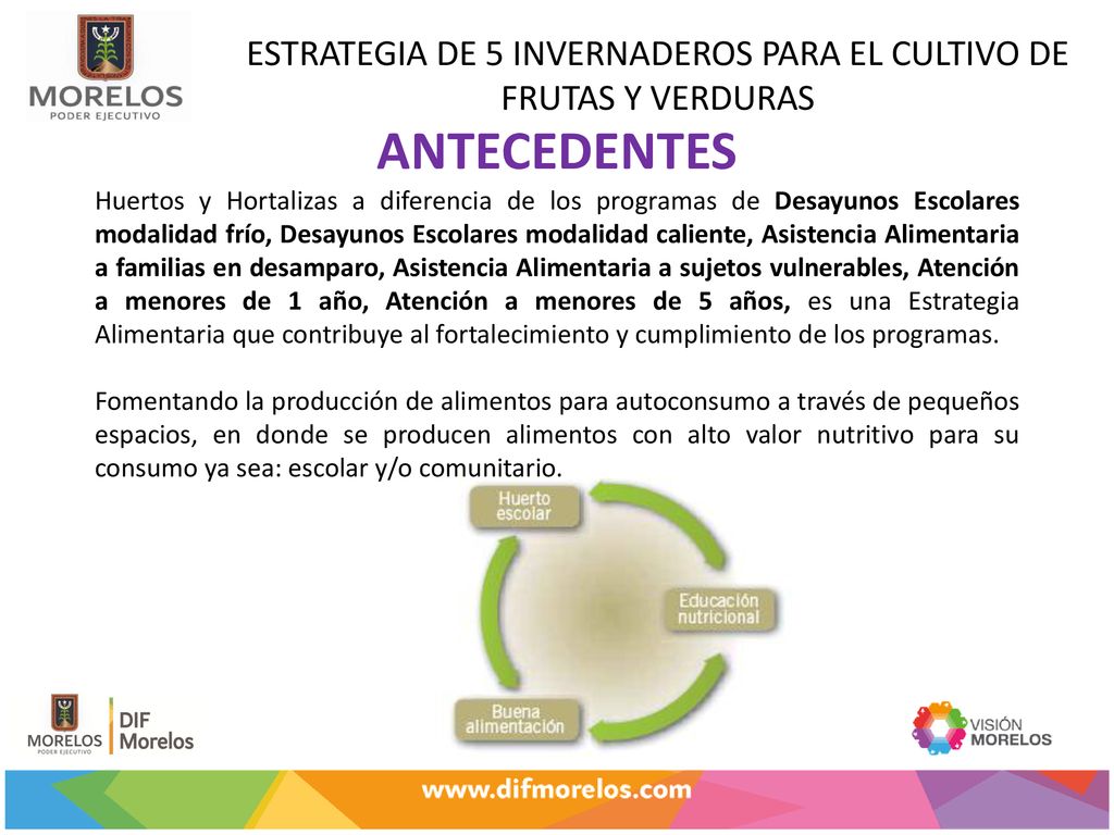 ESTRATEGIA DE 5 INVERNADEROS PARA EL CULTIVO DE FRUTAS Y VERDURAS