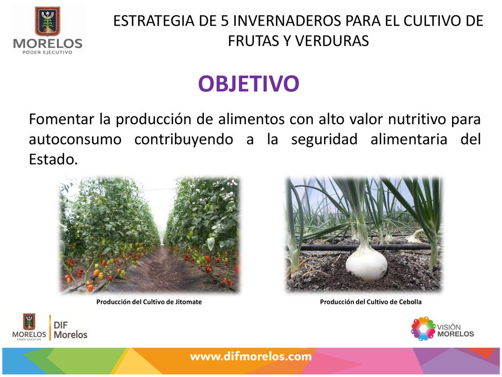 ESTRATEGIA DE 5 INVERNADEROS PARA EL CULTIVO DE FRUTAS Y VERDURAS